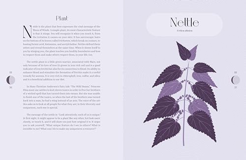 Moon Phases: Use the Lunar Cycle to Connect with Nature and Focus Your Intentions - Image 4