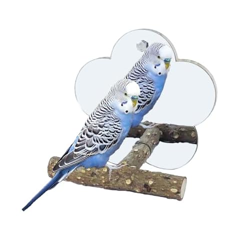 Sirvarni Bird Mirror with Perch Stand InteractiveToys Cage Accessories for Pet Parrot Budgies Cockatiels Conure Lovebird Finch Canaries and Other Small Birds (Flower Shape) Cover