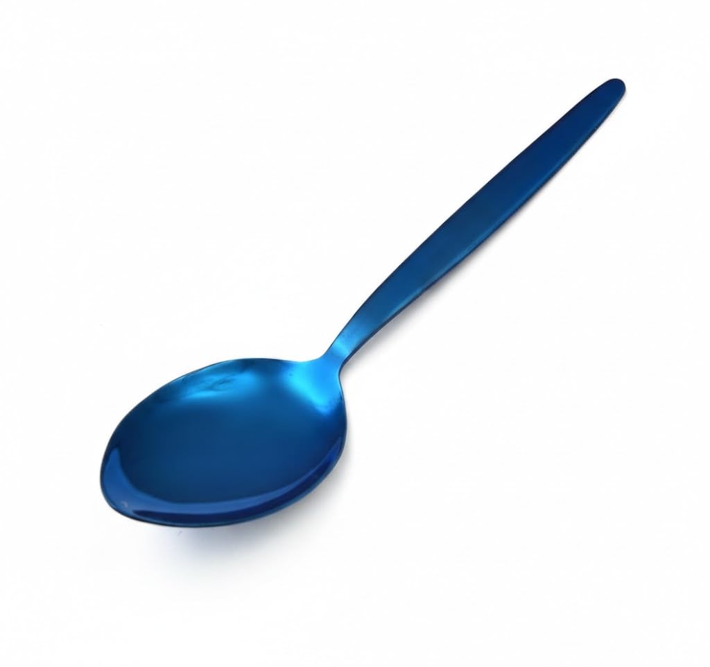 Chef Kunz Spoon Shiny Blue |18/10 Stainless Steel Titanium Chef Spoon | 9 Inches Plating Daily Serving Quenelle Cooking Spoons