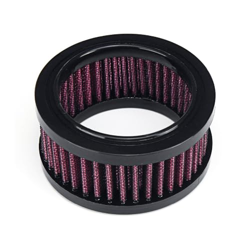 VGVCTX Neues Motorrad-Luftreiniger-Ansaugfiltersystem Zubehör für Harley-Davidson Sportster 883 1200 1991-2016 Iron 883 2009-2016 (Farbe: A)