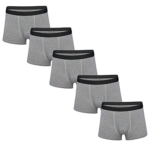Hinrichsen & Co. Calzoncillos tipo bóxer para hombre (5 unidades) en las tallas M - XXL de bambú, gris, M Cover
