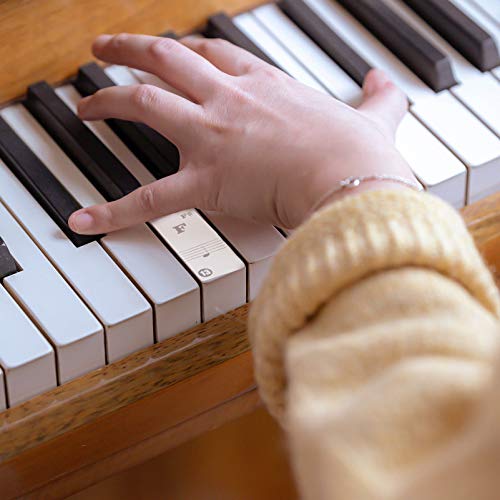 Generic Elektronische Piano Toetsenbord Stickers Transparant Instrument Verwijderbare Music Notes Decal 27X20cm Voor… - Image 7