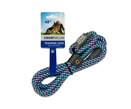 Cesar Millan Slip Lead Leash | Dog Leash | in Training Leash | (Regular Aqua/Purple)