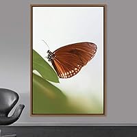 Framed Canvas Wall Art Butterfly Expressive Farmhouse/Country Home Office Insects Lake Multicolor Photography - 16x24 inches