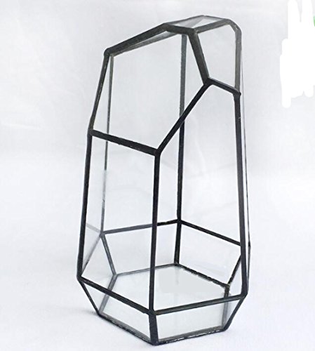 Singeru Unregelmäßige geometrische Glas Terrarium Pflanze Box Blumentopf Tabletop Decor Display Box Etuis für Sukkulente Farn Moos Cover