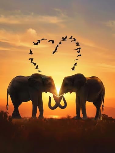 Pintar por números adultos elefante pradera el regalo original para mujer aficionada al arte