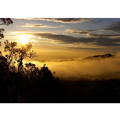 Runa Art Papel tapiz fotográfico puesta de sol de África 352 x 250 cm Lana Fondo De Pantalla XXL Moderna Decoración De Pared Sala Cuarto Oficina Salón amarillo negro 9032011b