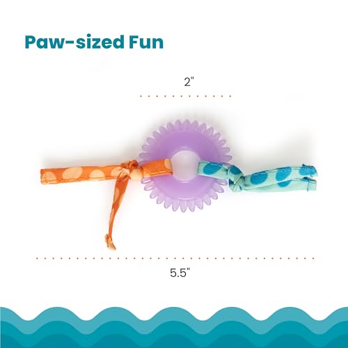 image for Catstages Kitty Chew Wheel, Dental Cat Toy with Catnip Oil, Teeth Clea