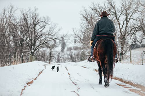 Alforja para caballo Daytripper TrailMax, poliéster 600D resistente a la intemperie, con forro de vinilo cosido y cremallera de doble sentido, para montar en senderos miniatura 5