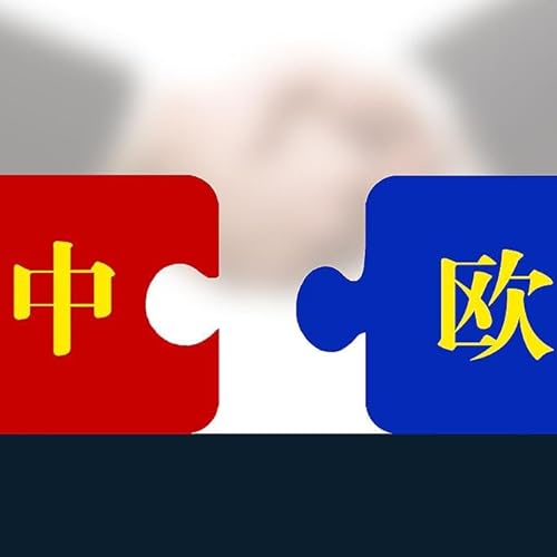 『What does critical China-EU summit mean for climate?』のカバーアート