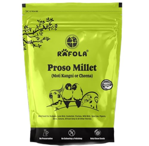 Image of Proso Millet Bird Food | MOTI KAGNI | CHEENA Dana | Natural & Healthy | Premium Seed | Suitable For All Type Birds | 900G,All Life Stages