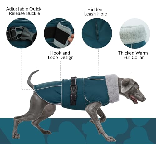 Wintermantel für Kleine Hunde, Winterjacke wasserdichte Hundejacke Hundeweste Winter Fleece Winddicht Outdoor jacken Chihuahua Hundemantel Französische Bulldogge(Dunkelgrün, S)