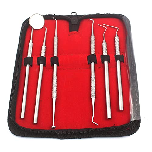 AAPROTOOLS Dental Dentist Pick Tool KIT 6 Piece A+ Quality