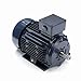 Marathon R320A 100L Frame Totally Enclosed Fan Cooled 100LTFC6576 IEC Motor, 1.5 KW, 1200 RPM, 230/460 VAC, 3 Phase, 2 Speeds, Ball Bearing, Rigid Base