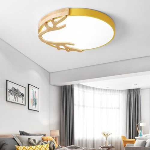 Luminaire coloré en forme de macaron en bois dimmable