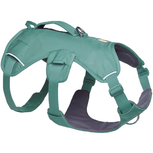 Ruffwear, Web Master, Multi-Use Support Dog Harness, Hiking and Trail Running, Service and Working, Everyday Wear, River Rock Green, Medium