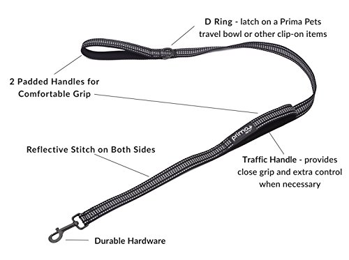 Reflective 4 Feet Nylon Dog Leash With Padded Double Handles, 2 Heavy Duty Neoprene Handles For Control Safety Training Durable Traffic Handle, For Medium To Large Dog (Large - 1" Width, Black) #TOP1