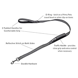 Reflective 4 Feet Nylon Dog Leash with Padded Double Handles, 2 Heavy Duty Neoprene Handles for Control Safety Training Durable Traffic Handle, for Medium to Large Dog (Large – 1″ Width, Black)
