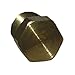 LASCO 17-9163 1/8-Inch Pipe Thread Brass Hex Plug