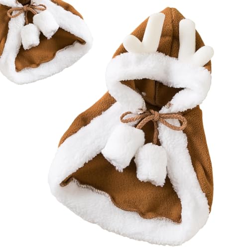 L NX}X P[v | NX}X RX`[ ̊pt | qLpN[N | ybg p ^ ^  q qL zf[ tFXeBo ~