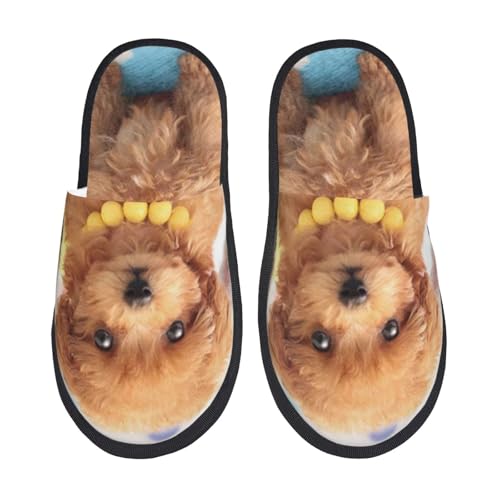 [JECASS] 킢q3C lC v[g Aj Xbp  Y 􂦂 gC qp p E Xbpjp LN^[ ObY  fB[X ~ 킢 qpm