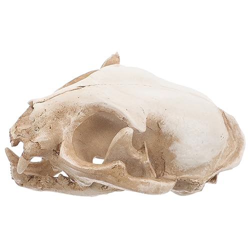 Image of Amosfun Halloween Animal Scary Skeleton Props Resin Cat Skull Model Figurine Aquarium Fish Tank Landscape Decorations