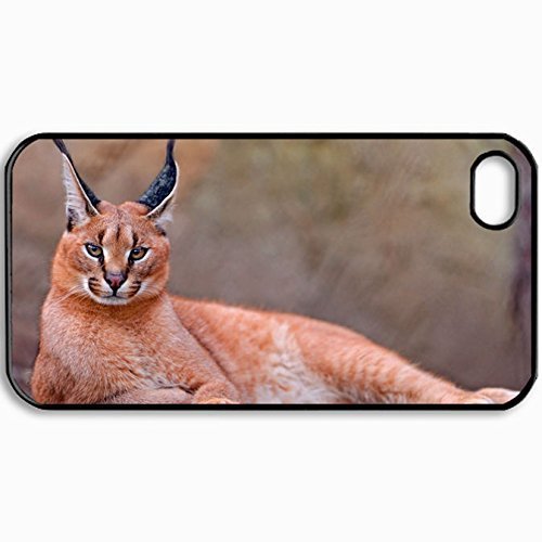 Personalized Protective Hardshell Back Hardcover