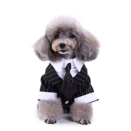 GabeFish Pets Wedding Jackets Suit for Dogs with Bow Tie Puppy Cat Formal Clothes Shirt Tuxedo Stripe Medium