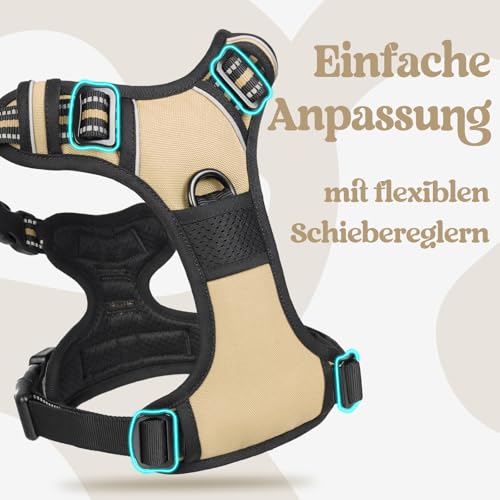 rabbitgoo Hundegeschirr Kleine Hunde, Verstellbare Geschirr Hund ohne Zug & Würgen, Anti Zug hundegeschirr mit Griff, weich Gepolsterte Reflektierende Brustgeschirr, Beige M