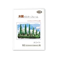 B2大 ポスター Anly  26ml Amazon.co.jp: B2大 ポスター Anly 26ml : おもちゃ