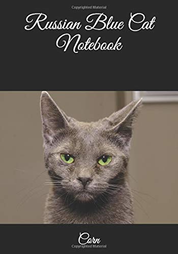 Russian Blue Cat Notebook