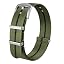 C-Green Black Line