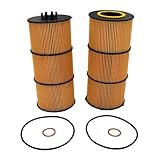 P551005 Oil Lube Filter (2) A4721800109 Compatible With Freightliner Engine 114SD 122SD, Replace