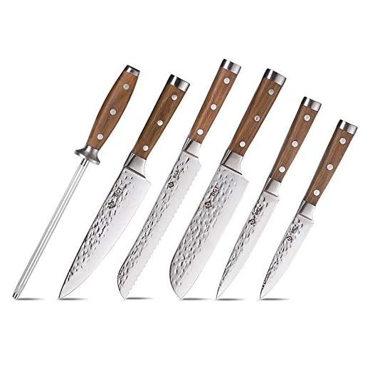 BGT Japanese 67 Layer High Grade VG-10 Super Damascus Steel Knives, Sharp, Teak Handle Professional Hammered Kitchen Knife Set with Knife Roll Bag 6Pcs Set (Silver Blade)
