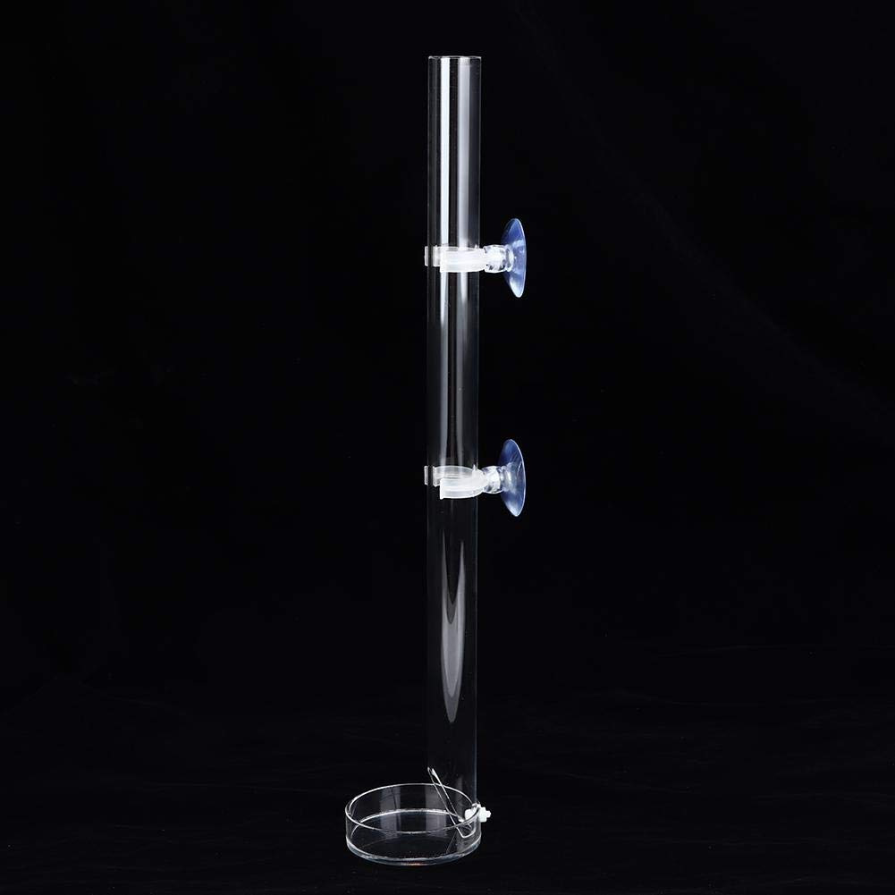 Tube d'alimentation Crevette Tube d'alimentation pour Crevettes en Acrylique Transparent Tube d'alimentation pour Aquarium (20cm)