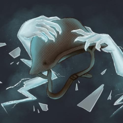 Night at the Museum: Part 1 | The Circle of Fragmented Glass