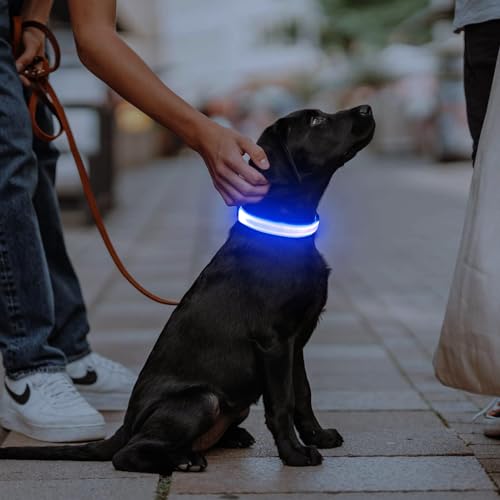 Illumifun Leuchthalsband Hund Aufladbar LED Hundehalsband Wasserdichtes Leuchthalsband für kleine und große Hunde, Hundelichter für nächtliche Spaziergänge (Blau, M)
