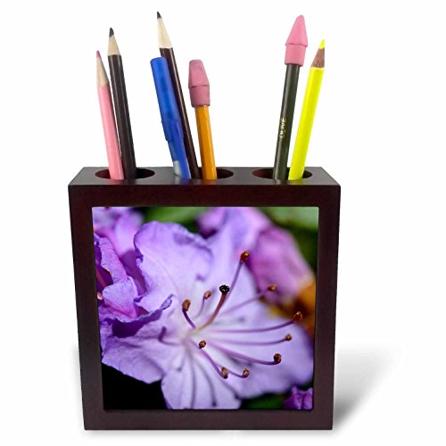 Porte-stylo pour carrelage contre le désordre, motif Azalée Violette