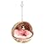 POPETPOP Hamster Hammock Cute Soft Coconut Shell Sleeping Nest with Bell Playing Hanging Bed for Hamster Guinea Pig Squirrel