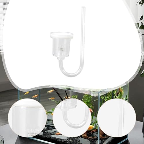 LOL-FUN AN CO2 fBt[U[ NAANZT[ y  CO2 VXe U^  fXN ʐ^ ItBXp, L