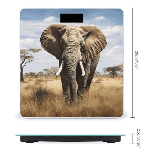 Báscula Digital Elephant de Vidrio Templado para Baño miniatura 2