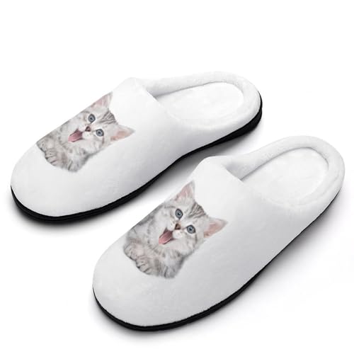 [ZKCASA] Xbp 킢 lR L AJV[gwA [V[Y   qp h  g 􂦂 ~ jp I[V[Yp 9-10i42-43j