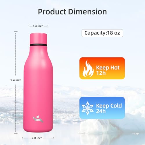 Image of Konokyo 18 oz Insulated Stainless Steel Metal Water Bottle with Strap