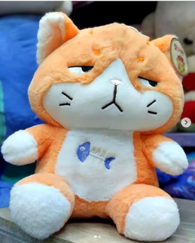 Image of Angry Cat Soft Toy Huggable Fish Kitty Teddy Bear Adorable Plush Toys for Kids & Babies Cuddly Animal Stuffed Toy Safe & Gifts for Toddlers, Boys & Girls (Angry cat 35cm