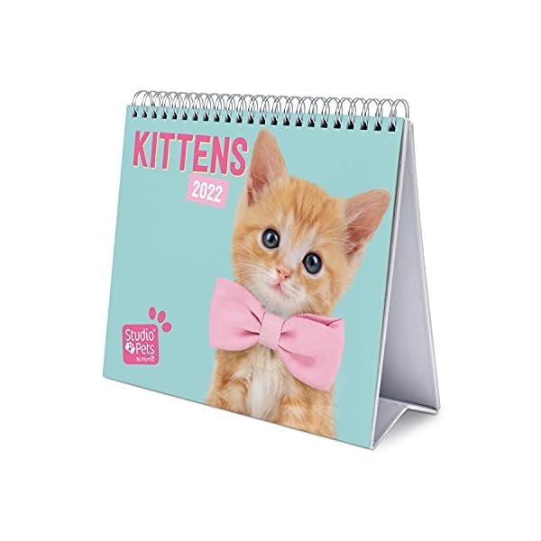 Grupo Erik Tischkalender 2022 - Studio Pets Katze Kalender 2022 Tischkalender - Tischplaner 2022 Planer 2022