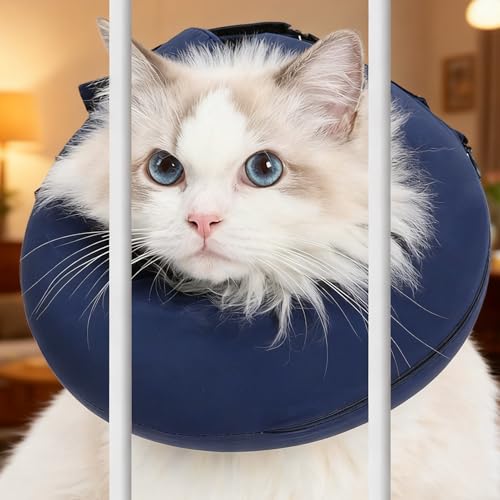 Collar de cono suave para perro para cuidado de heridas en casa 4