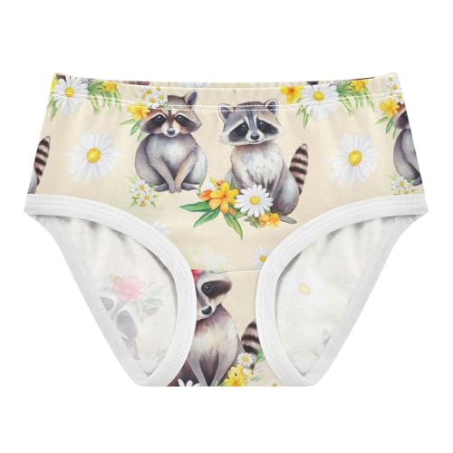 Joisal Cute Raccoons White Daisies Beige Toddler Girls Underwear 2t Cotton Cute Panties Girl Funny Briefs Underpants