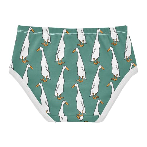 Girls Underwear Soft Cotton Indian Runner Ducks Kids Panties in Sizes 2/3t, 4t, 5t, 6 and 82