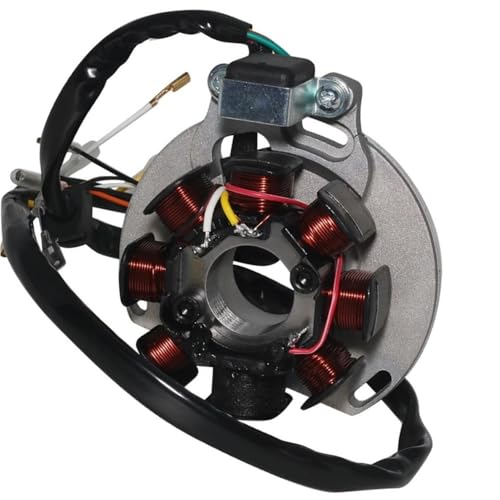 Bobine de Stator EC 250 Alternative ME250534005 Allumage Moto