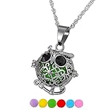 HOUSWEETY Aromatherapy Essential Oil Diffuser Necklace - Locket Pendant,6 Refill Pads